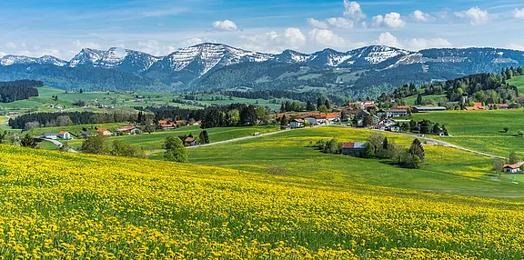Ihr Immobilienexperte in Oberstaufen