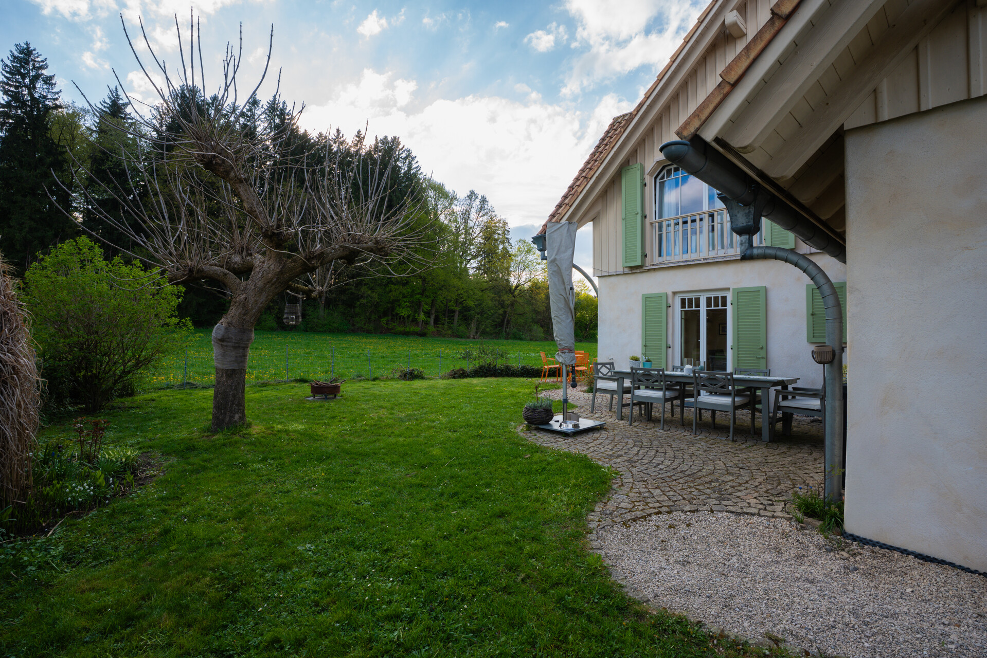 Blick in den Garten
